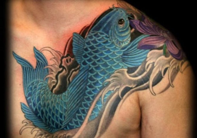 Blue Koi Fish Tattoo - 30 Koi Fish Tattoos <3 <3