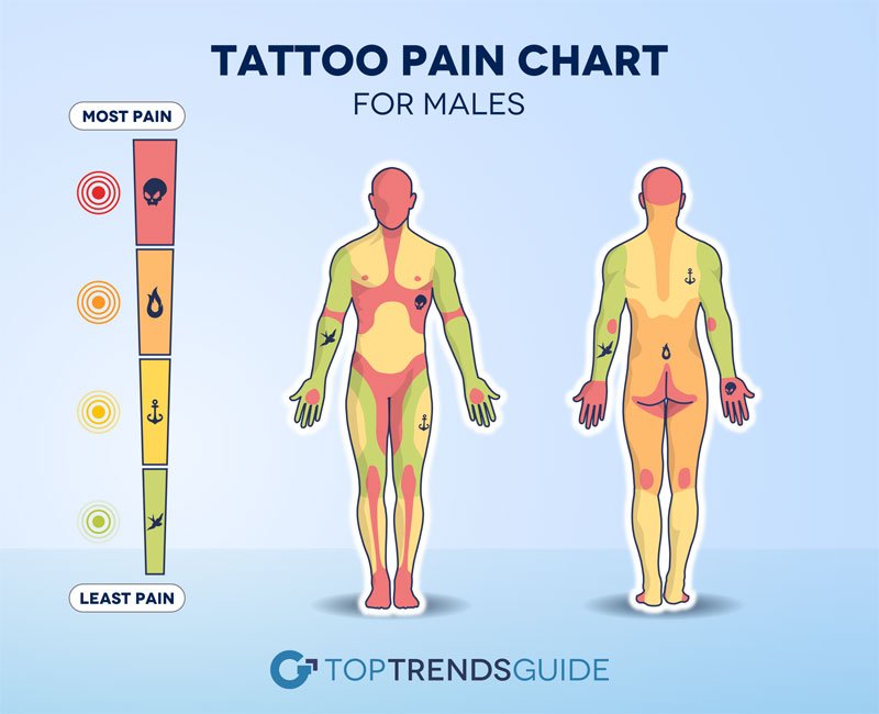 Tattoo Pain Chart Male