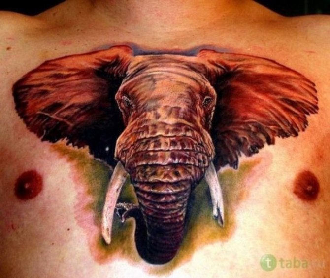 Elephant Tattoos - Elephant Tattoos <3 <3