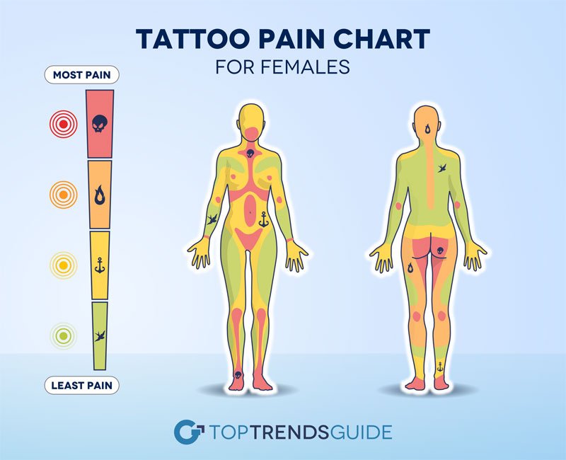 Tattoo Pain Chart Female