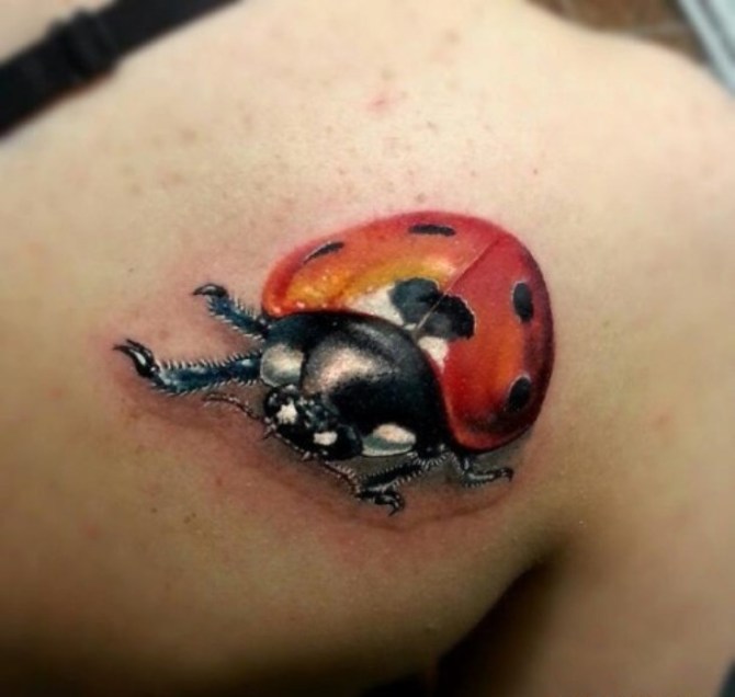  Ladybug Tattoo - Ladybug Tattoos <3 <3