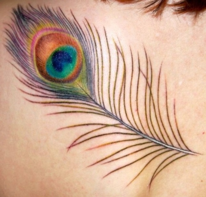 Peacock Feather Tattoo on Back - Peacock Tattoos <3 <3