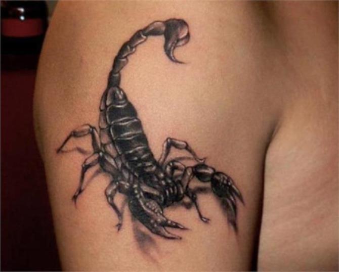 Scorpion Tattoo on Arm - Scorpion Tattoos <3 <3