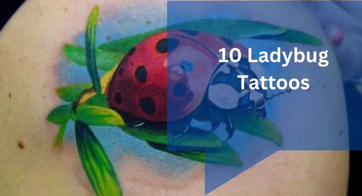 10 Ladybug Tattoos